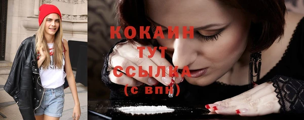 прущие грибы Балабаново