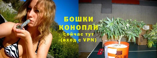 каннабис Беломорск