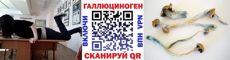 Псилоцибиновые грибы GOLDEN TEACHER  Покровск 